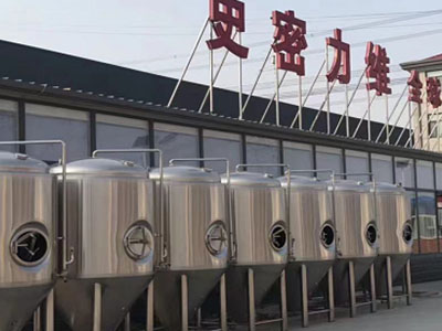正定精酿啤酒设备厂—如何判断精酿啤酒设备的密封件需要更换？